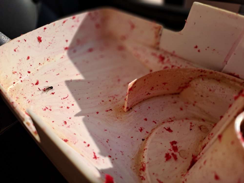 The Cost of Cutting Corners in Trauma Cleaning