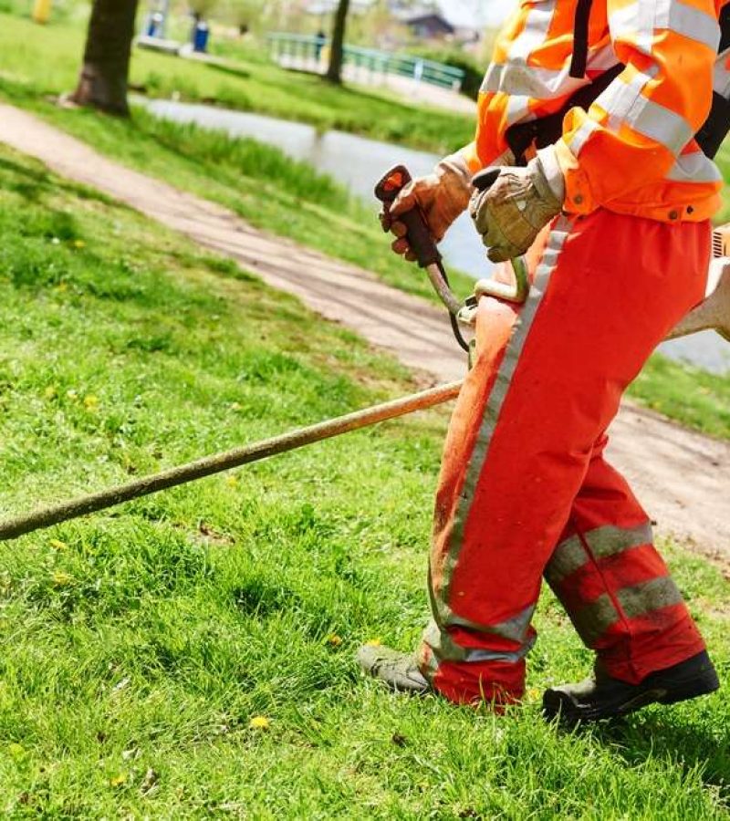 Commercial Grounds Maintenance