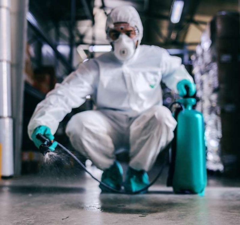 Warehouse Sanitation Explained – Is Your Facility Up to Standard?