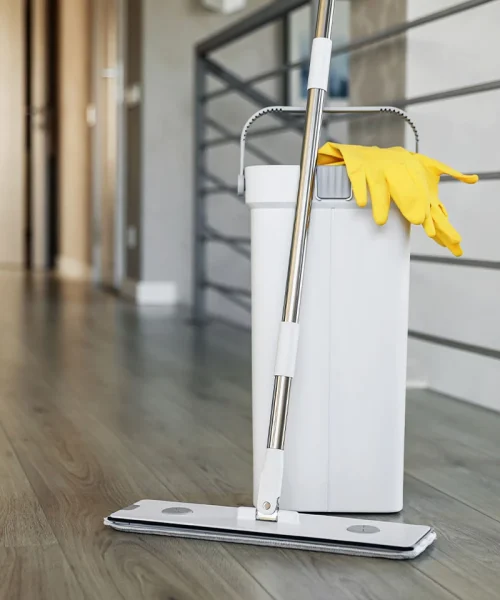 bucket_mop_gloves_img