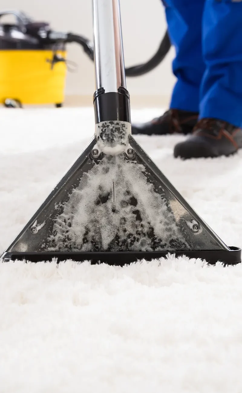 carpet_cleaning_rug_machine