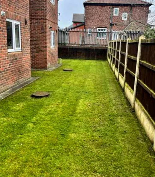 garden_img