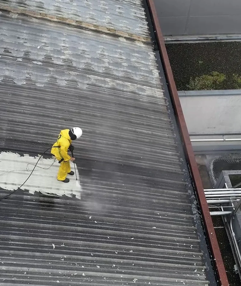 industry roof cleaning