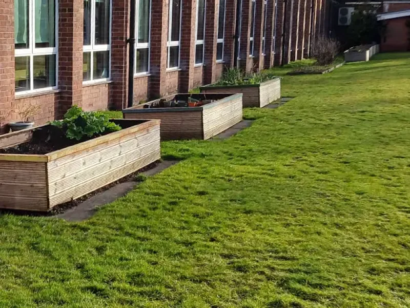 school_building_grass_img