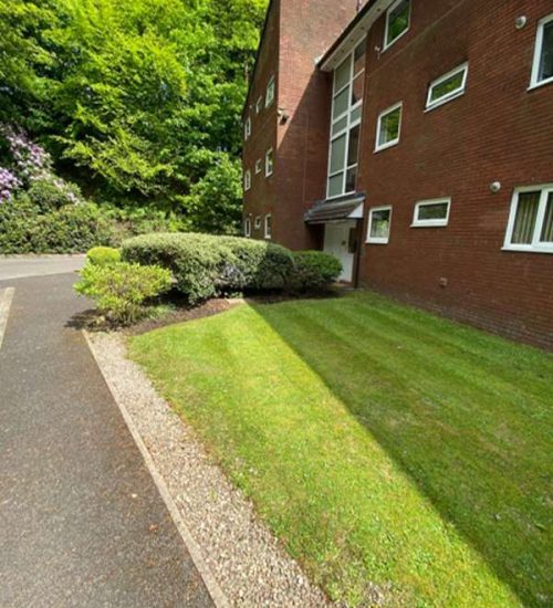 shaped_grounds_img