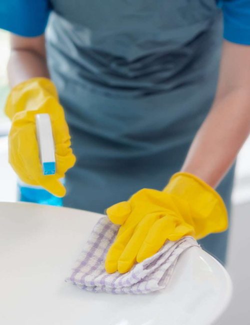 sink_cleaning_img